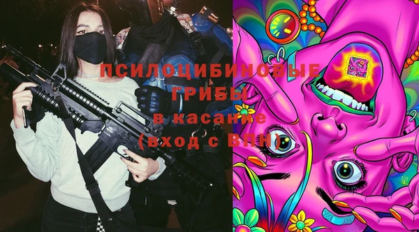 прущие крисы Верея