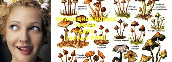 первитин Верхний Тагил